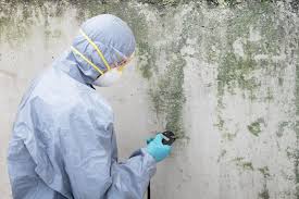 Environmental Consulting for Mold Prevention in Spring Hill, TN